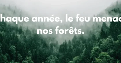 PyroScope — Cartographier le danger avant l'étincelle : Comment l'intelligence artificielle et l'analyse géospatiale protègent la forêt de Timahdite
