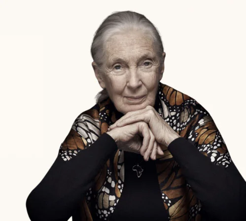 Prix Jane Goodall