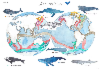 Baleines