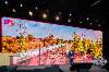 Photo_Vincent-Krieger_251008_115459_VK9_1544-bd