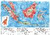 Conflits Orang Outans
